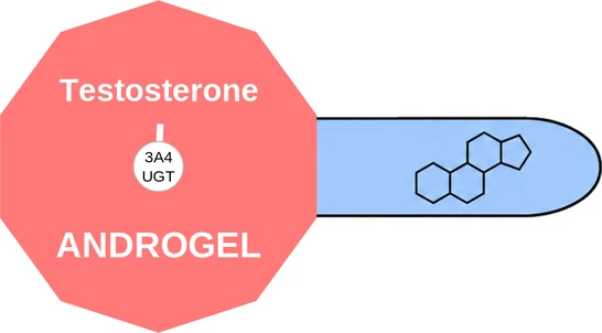 Testosterone ballicule: receptor binding, kinetics and half-life diagram
