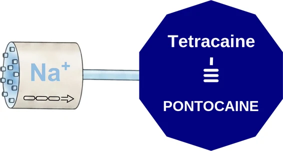 Tetracaine ballicule — decagon mechanism diagram
