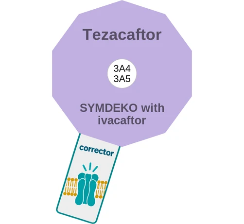 Tezacaftor ballicule: receptor binding, kinetics and half-life diagram