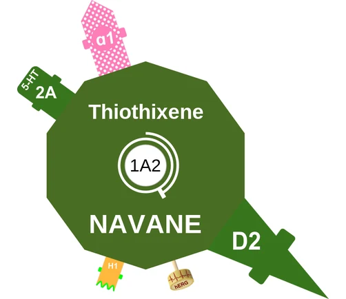 Thiothixene ballicule: receptor binding, kinetics and half-life diagram