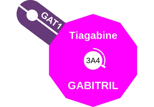 Tiagabine ballicule — decagon mechanism diagram