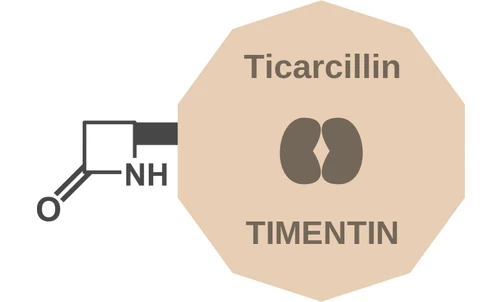 Ticarcillin ballicule: receptor binding, kinetics and half-life diagram