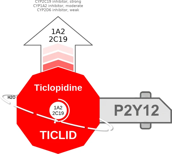 Ticlopidine ballicule: receptor binding, kinetics and half-life diagram