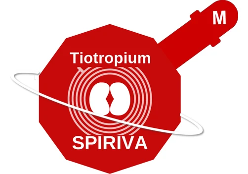 Tiotropium ballicule: receptor binding, kinetics and half-life diagram
