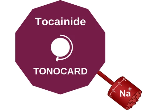 Tocainide ballicule: receptor binding, kinetics and half-life diagram