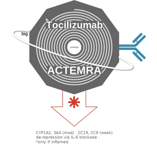 Tocilizumab ballicule — decagon mechanism diagram