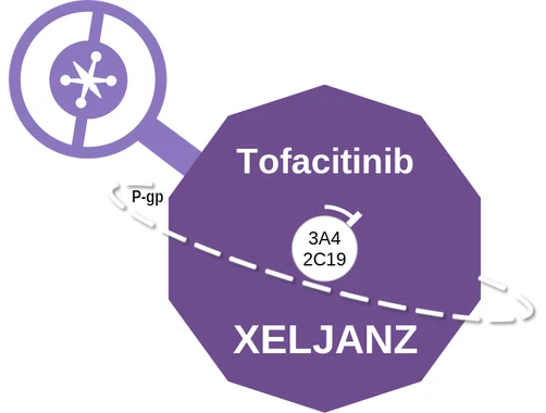 Tofacitinib ballicule: receptor binding, kinetics and half-life diagram