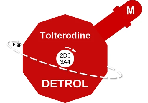 Tolterodine ballicule — decagon mechanism diagram