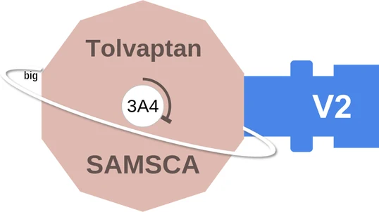 Tolvaptan ballicule — decagon mechanism diagram