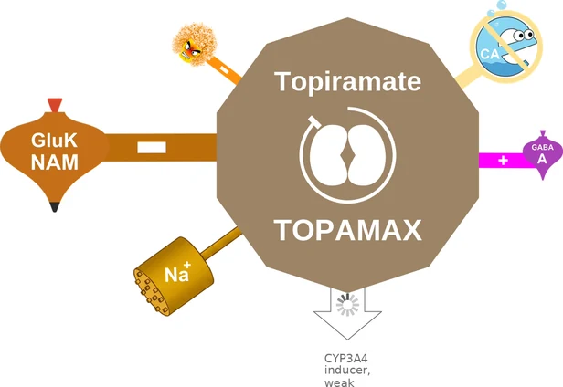 Topiramate ballicule — decagon mechanism diagram