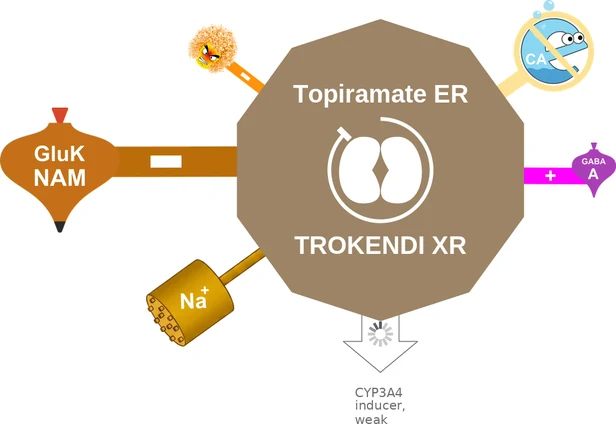 Topiramate ER ballicule: receptor binding, kinetics and half-life diagram