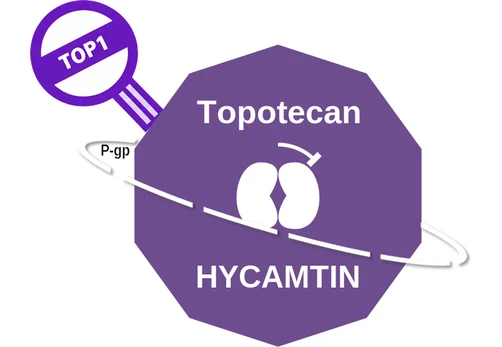 Topotecan ballicule — decagon mechanism diagram