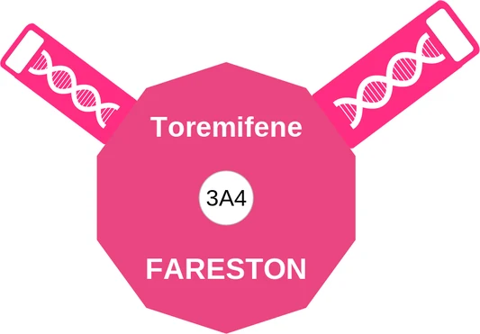 Toremifene ballicule: receptor binding, kinetics and half-life diagram