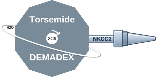 Torsemide ballicule — decagon mechanism diagram