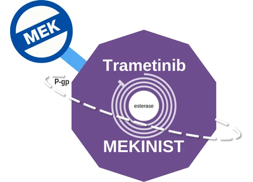Trametinib ballicule — decagon mechanism diagram