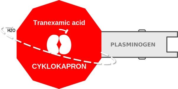 Tranexamic acid ballicule: receptor binding, kinetics and half-life diagram