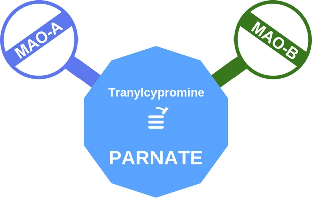 Tranylcypromine ballicule — decagon mechanism diagram