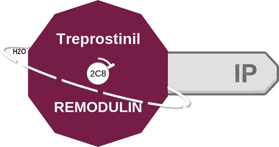 Treprostinil ballicule: receptor binding, kinetics and half-life diagram