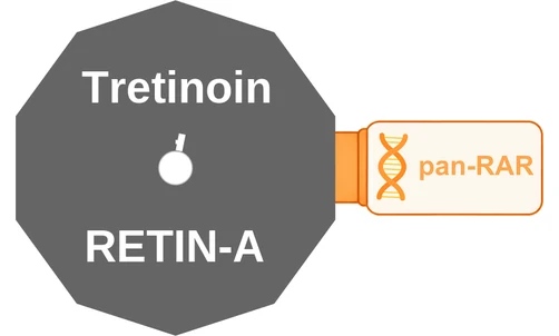 Tretinoin ballicule — decagon mechanism diagram
