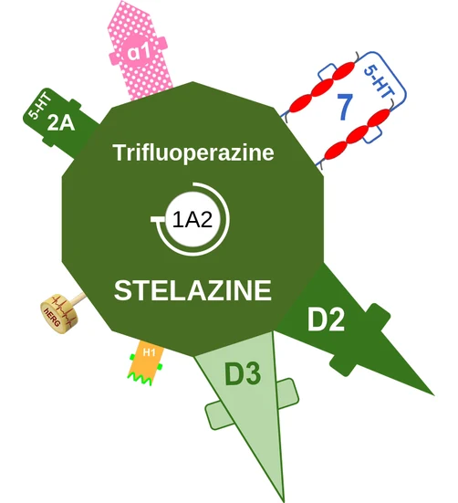 Trifluoperazine ballicule: receptor binding, kinetics and half-life diagram