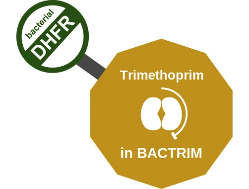 Trimethoprim ballicule: receptor binding, kinetics and half-life diagram