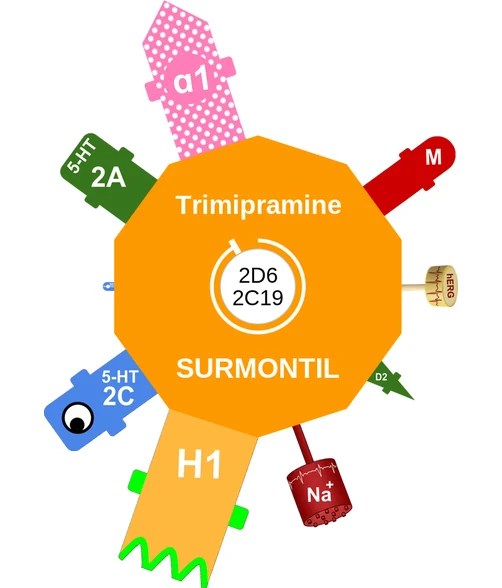 Trimipramine ballicule — decagon mechanism diagram