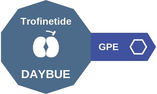 Trofinetide ballicule: receptor binding, kinetics and half-life diagram