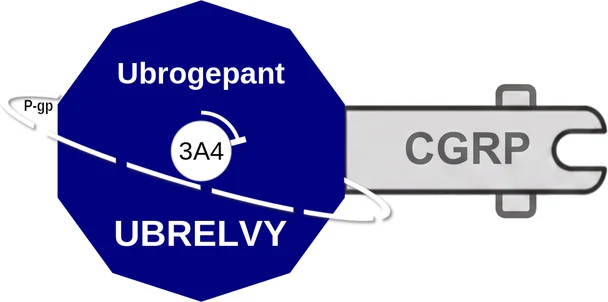 Ubrogepant ballicule — decagon mechanism diagram