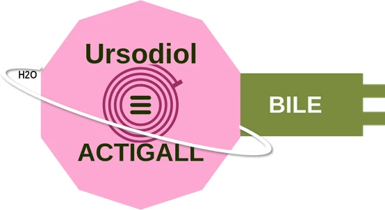 Ursodiol ballicule: receptor binding, kinetics and half-life diagram