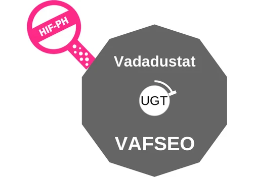 Vadadustat ballicule: receptor binding, kinetics and half-life diagram