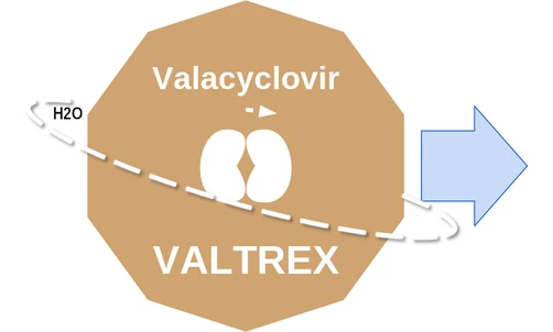 Valacyclovir ballicule: receptor binding, kinetics and half-life diagram