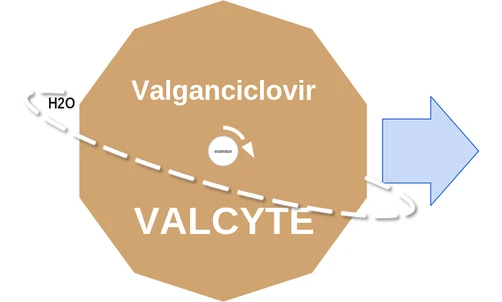 Valganciclovir ballicule — decagon mechanism diagram