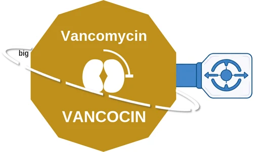 Vancomycin ballicule: receptor binding, kinetics and half-life diagram