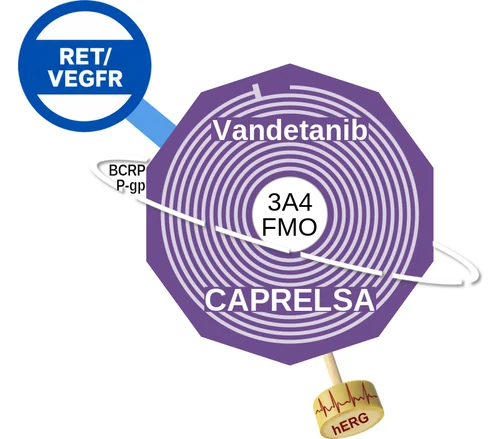 Vandetanib ballicule — decagon mechanism diagram
