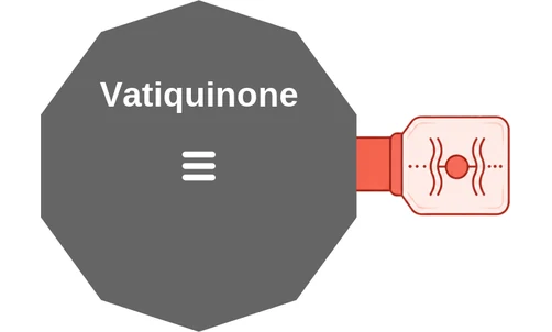 Vatiquinone ballicule: receptor binding, kinetics and half-life diagram