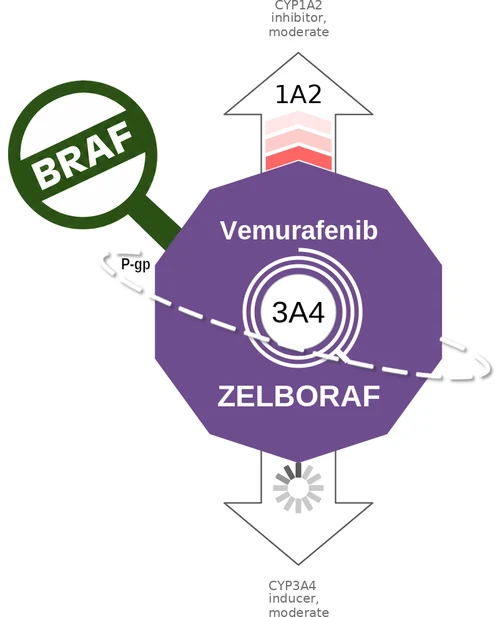 Vemurafenib ballicule — decagon mechanism diagram