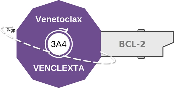 Venetoclax ballicule — decagon mechanism diagram
