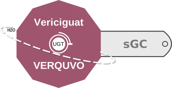 Vericiguat ballicule — decagon mechanism diagram