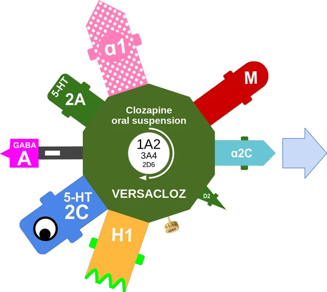 Clozapine oral suspension ballicule: receptor binding, kinetics and half-life diagram