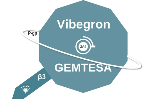 Vibegron ballicule — decagon mechanism diagram