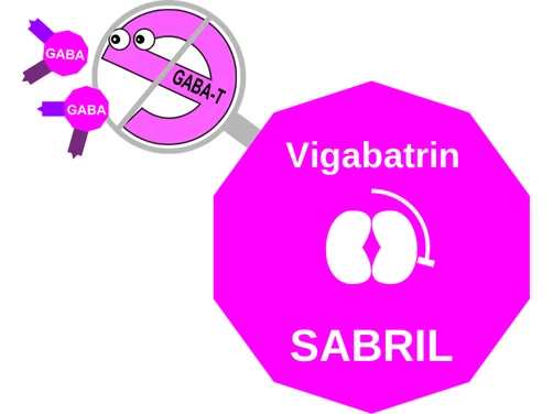 Vigabatrin ballicule: receptor binding, kinetics and half-life diagram