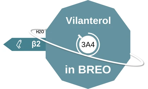 Vilanterol ballicule: receptor binding, kinetics and half-life diagram