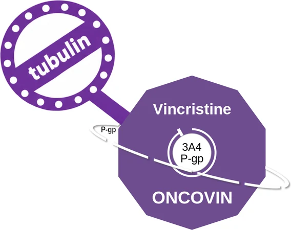 Vincristine ballicule — decagon mechanism diagram