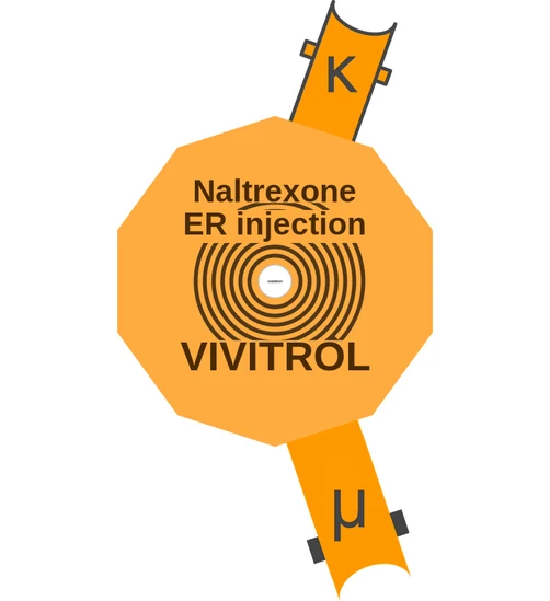 Naltrexone ER injection ballicule: receptor binding, kinetics and half-life diagram