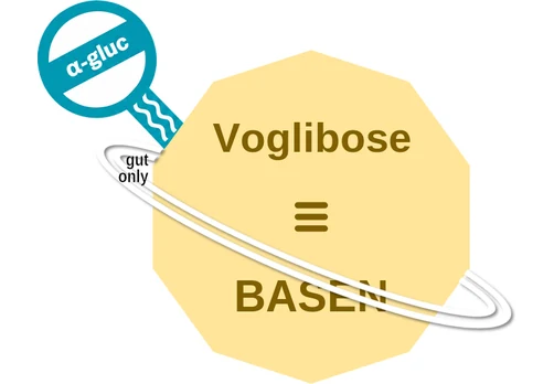 Voglibose ballicule: receptor binding, kinetics and half-life diagram