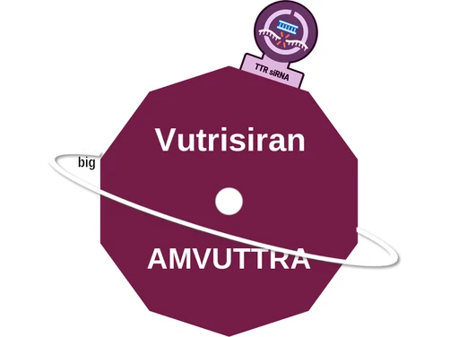 Vutrisiran ballicule — decagon mechanism diagram