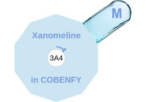 Xanomeline ballicule — decagon mechanism diagram