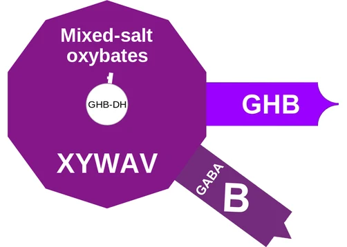 Mixed-salt oxybates ballicule: receptor binding, kinetics and half-life diagram