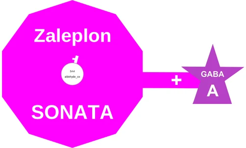 Zaleplon ballicule: receptor binding, kinetics and half-life diagram