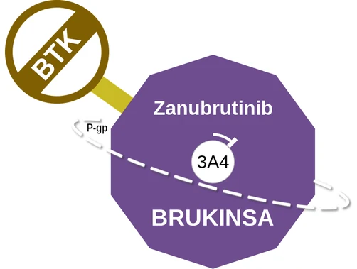 Zanubrutinib ballicule — decagon mechanism diagram